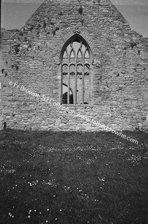 ARDFERT FRIARY SCENES